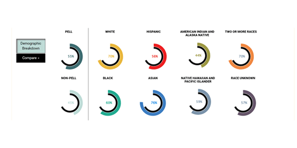 screenshot of demographic breakdown in pie chart